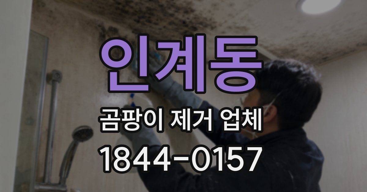 인계동 곰팡이 제거 업체