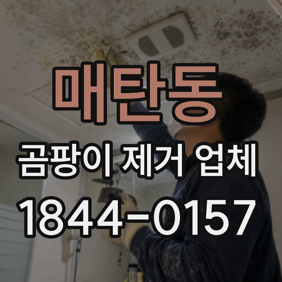 매탄동 곰팡이 제거 업체 상담 시 꼭 물어볼 질문