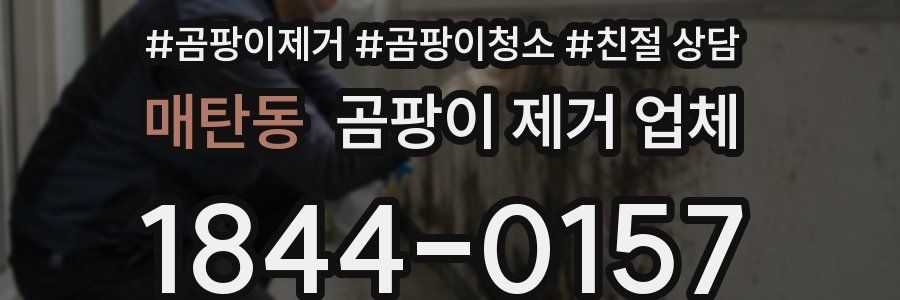 매탄동 곰팡이 제거 업체