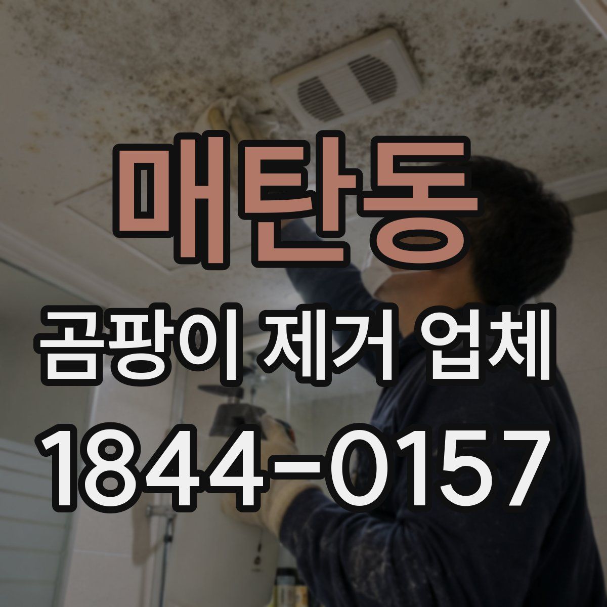 매탄동 곰팡이 제거 업체