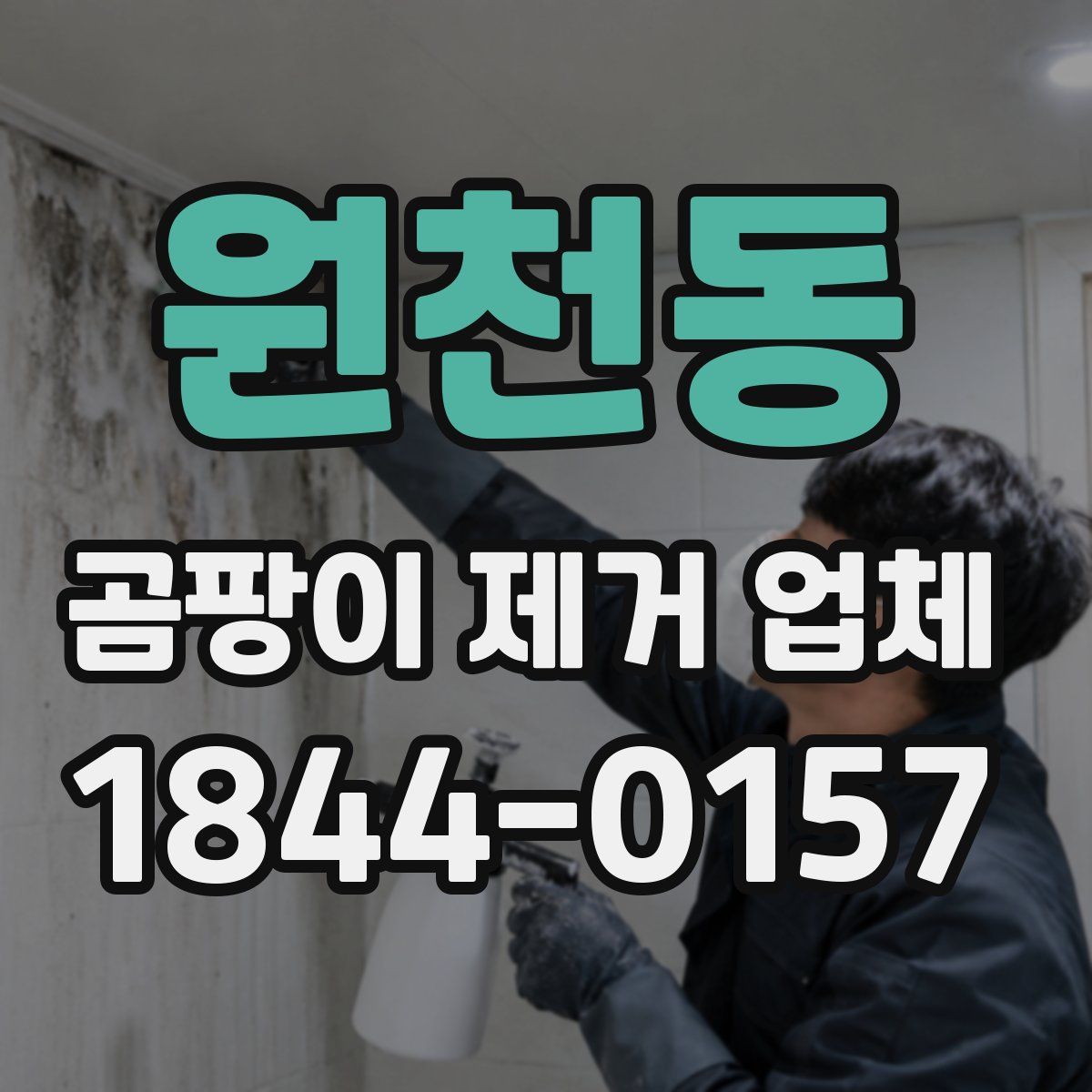 원천동 곰팡이 제거 업체