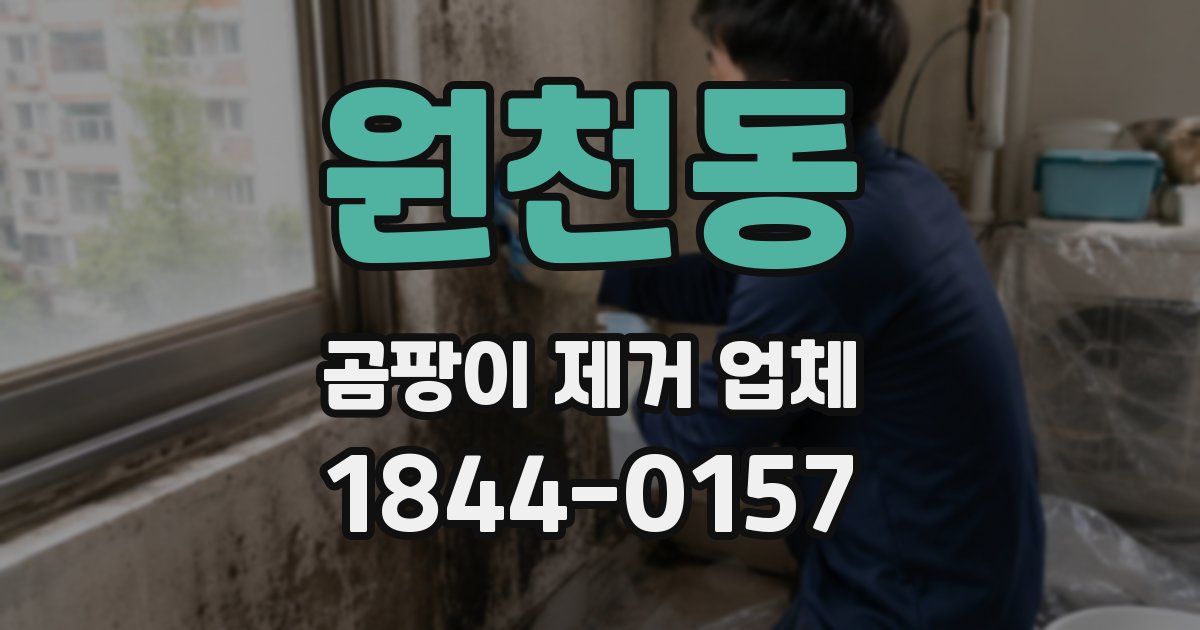 원천동 곰팡이 제거 업체