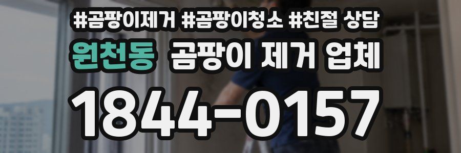 원천동 곰팡이 제거 업체