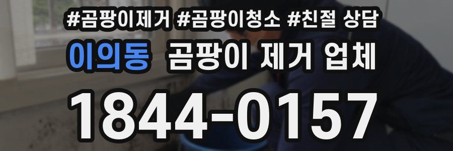 이의동 곰팡이 제거 업체