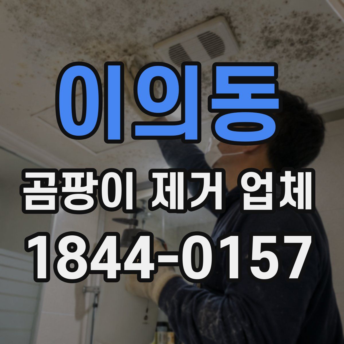 이의동 곰팡이 제거 업체