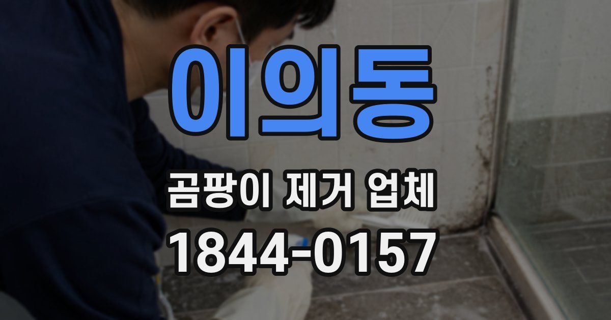 이의동 곰팡이 제거 업체