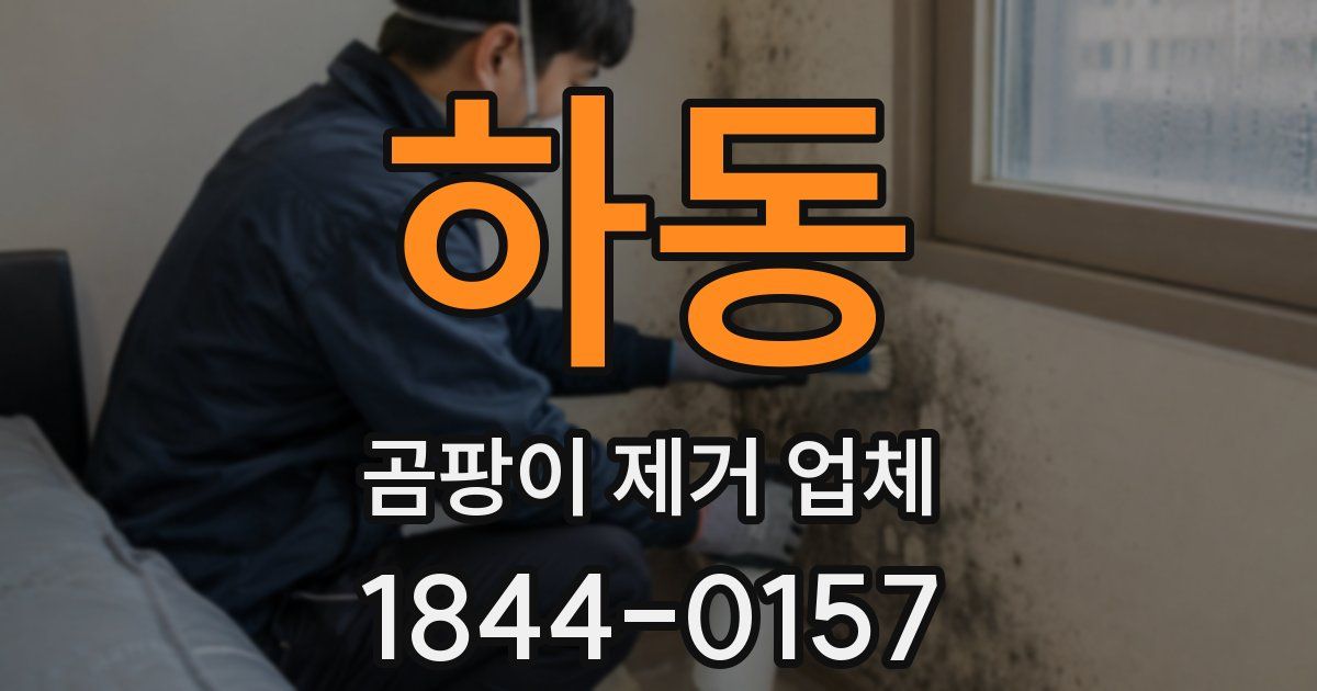 하동 곰팡이 제거 업체
