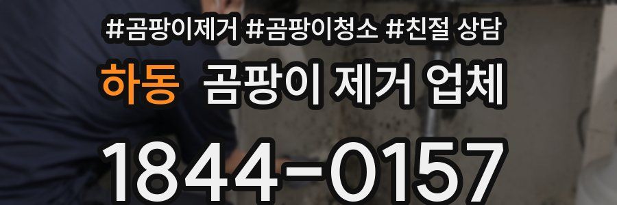하동 곰팡이 제거 업체