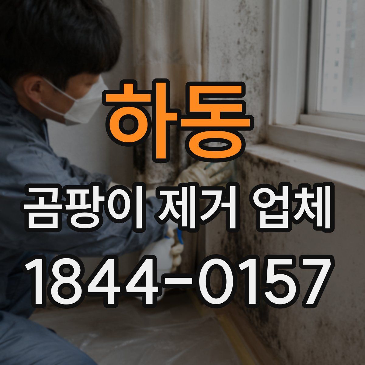 하동 곰팡이 제거 업체