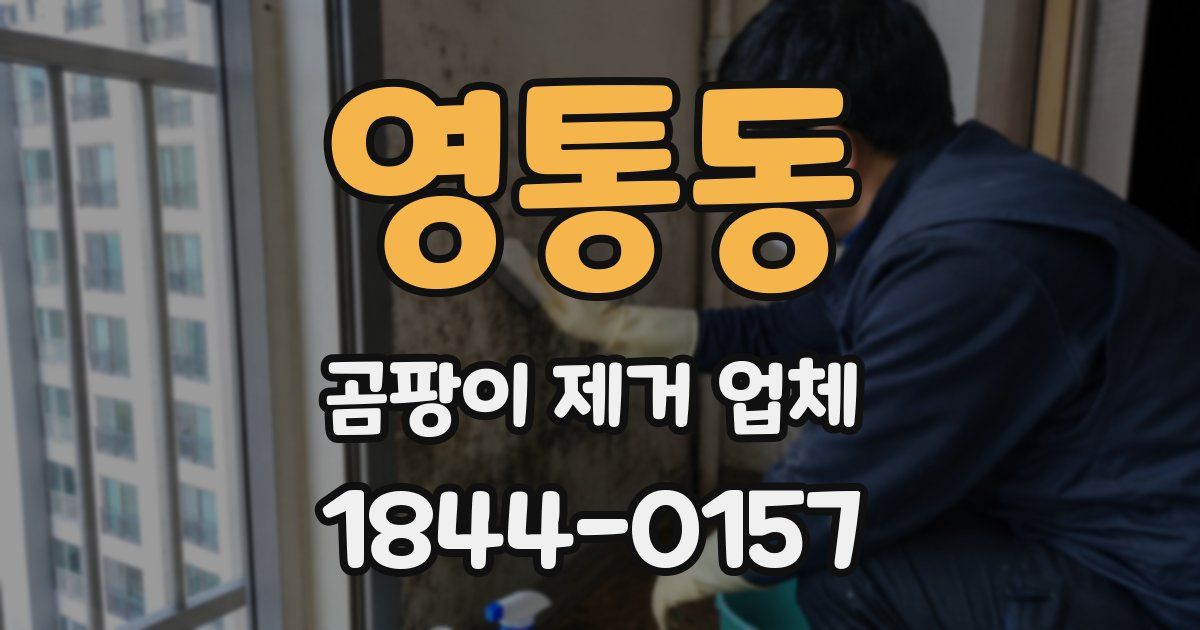 영통동 곰팡이 제거 업체