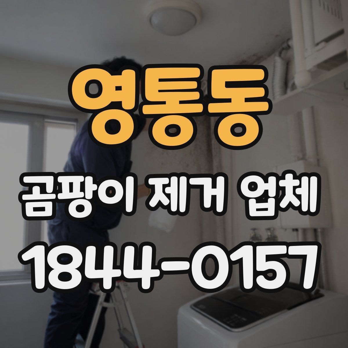 영통동 곰팡이 제거 업체