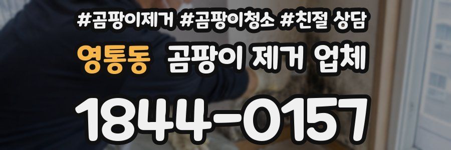 영통동 곰팡이 제거 업체