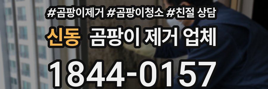 신동 곰팡이 제거 업체