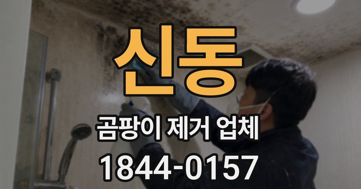 신동 곰팡이 제거 업체
