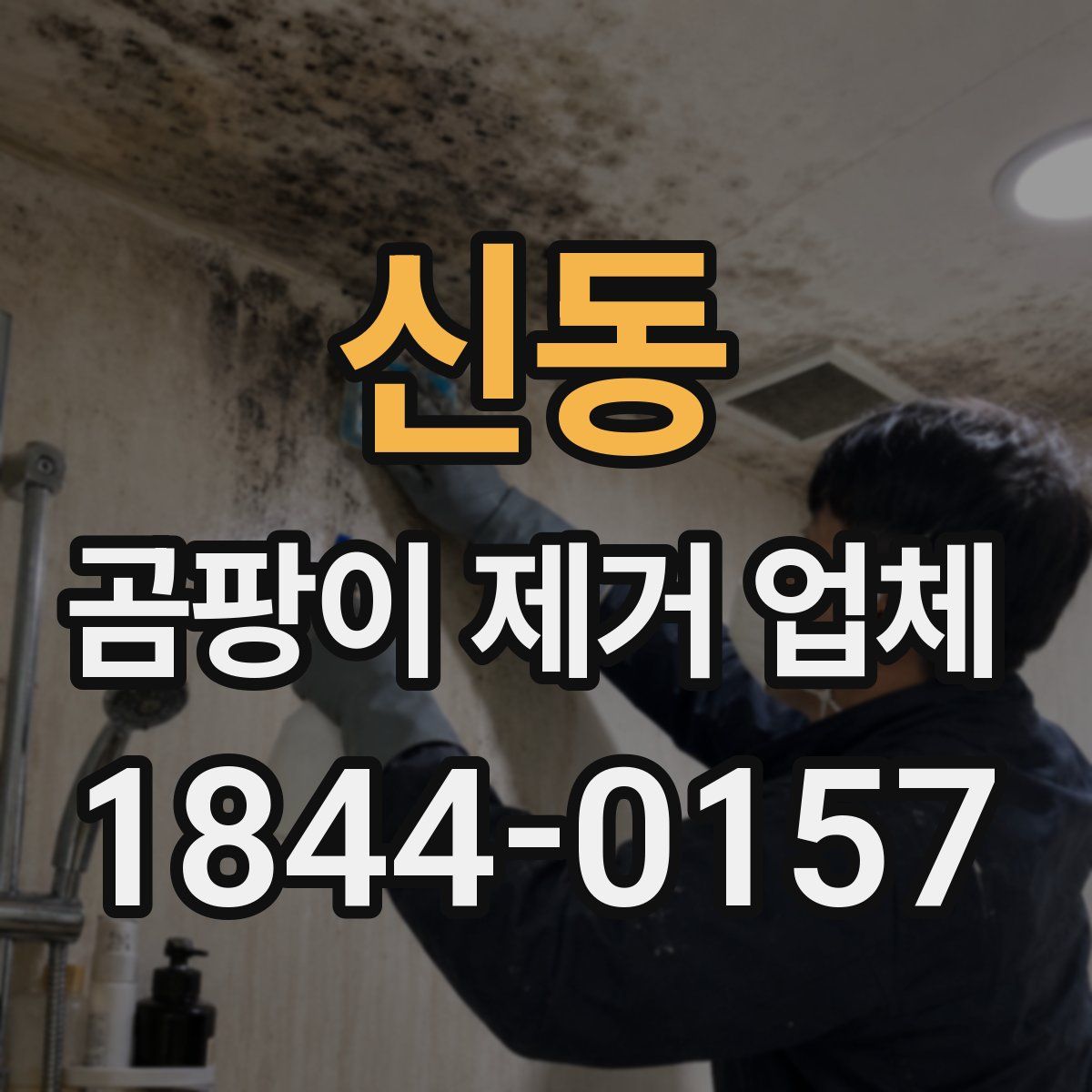 신동 곰팡이 제거 업체