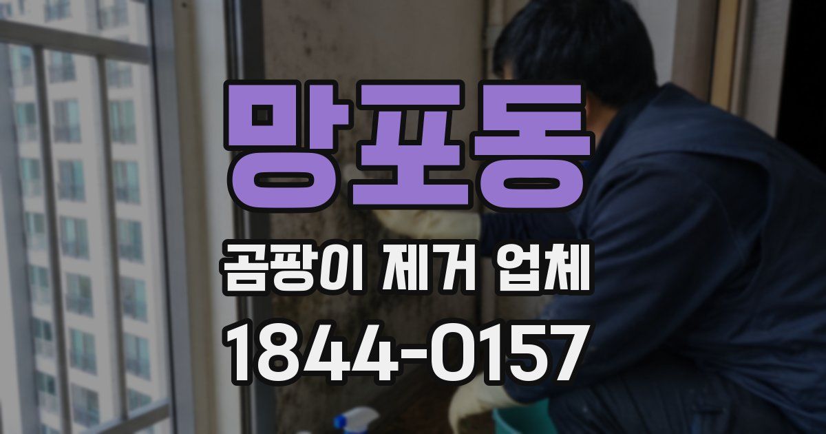 망포동 곰팡이 제거 업체
