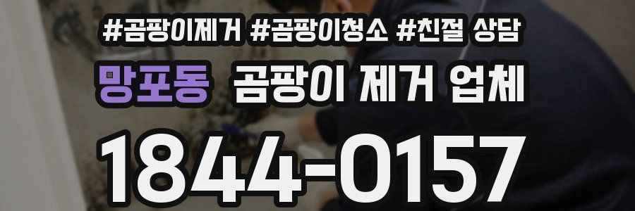 망포동 곰팡이 제거 업체