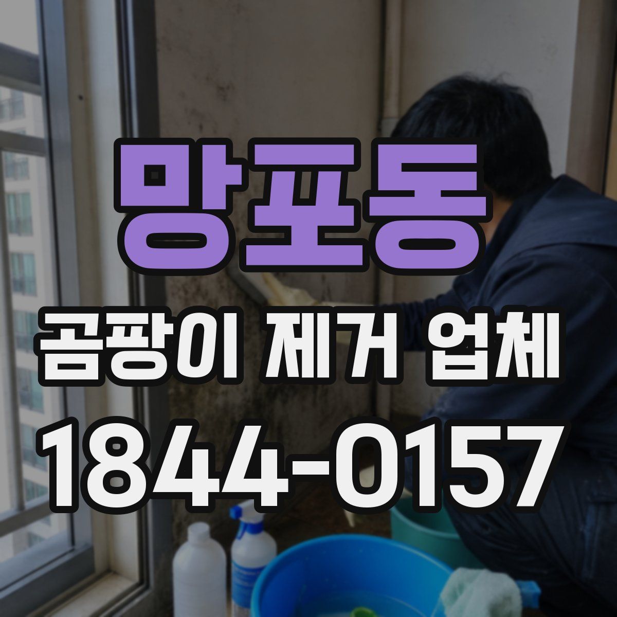 망포동 곰팡이 제거 업체
