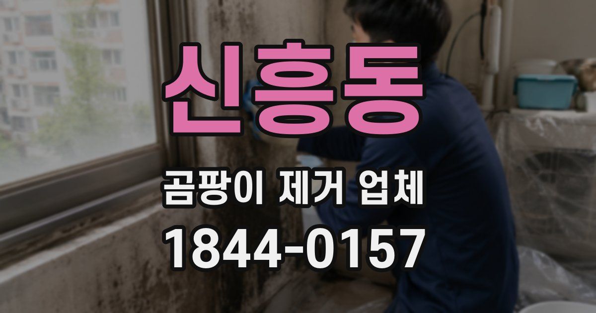 신흥동 곰팡이 제거 업체