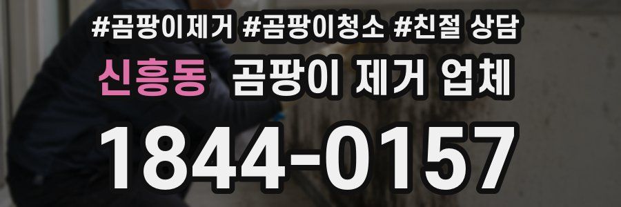 신흥동 곰팡이 제거 업체