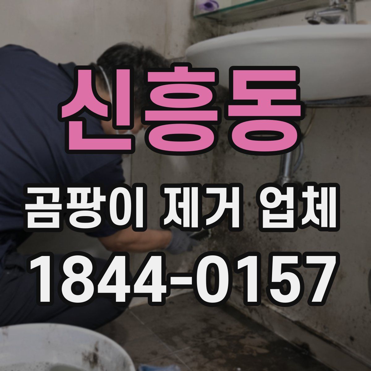 신흥동 곰팡이 제거 업체