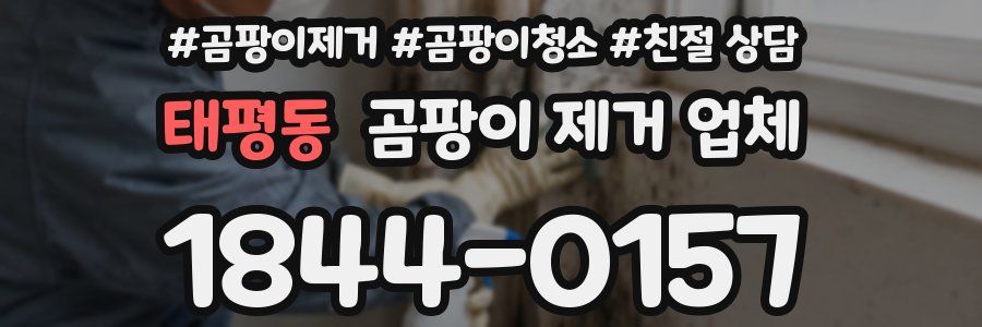 태평동 곰팡이 제거 업체