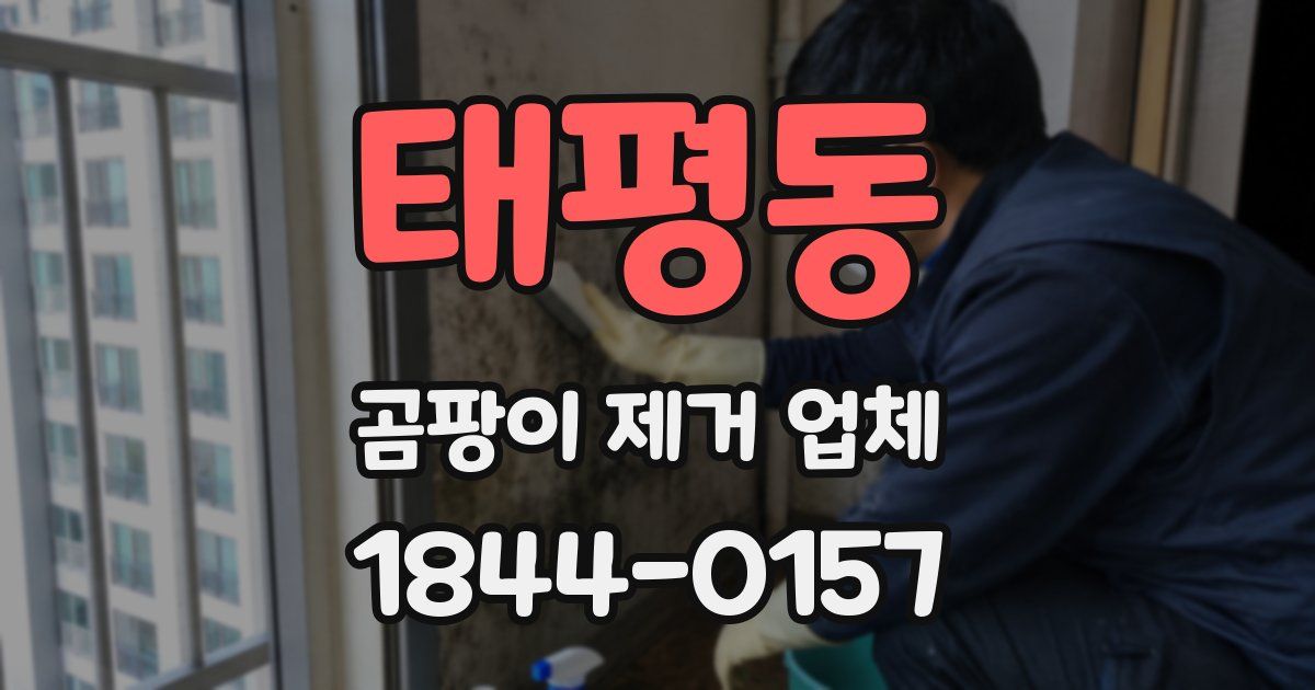 태평동 곰팡이 제거 업체