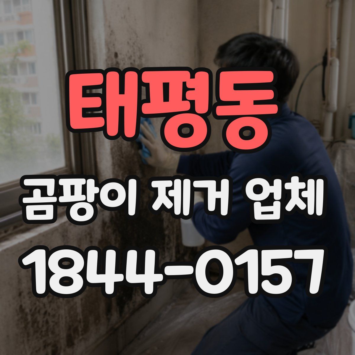 태평동 곰팡이 제거 업체