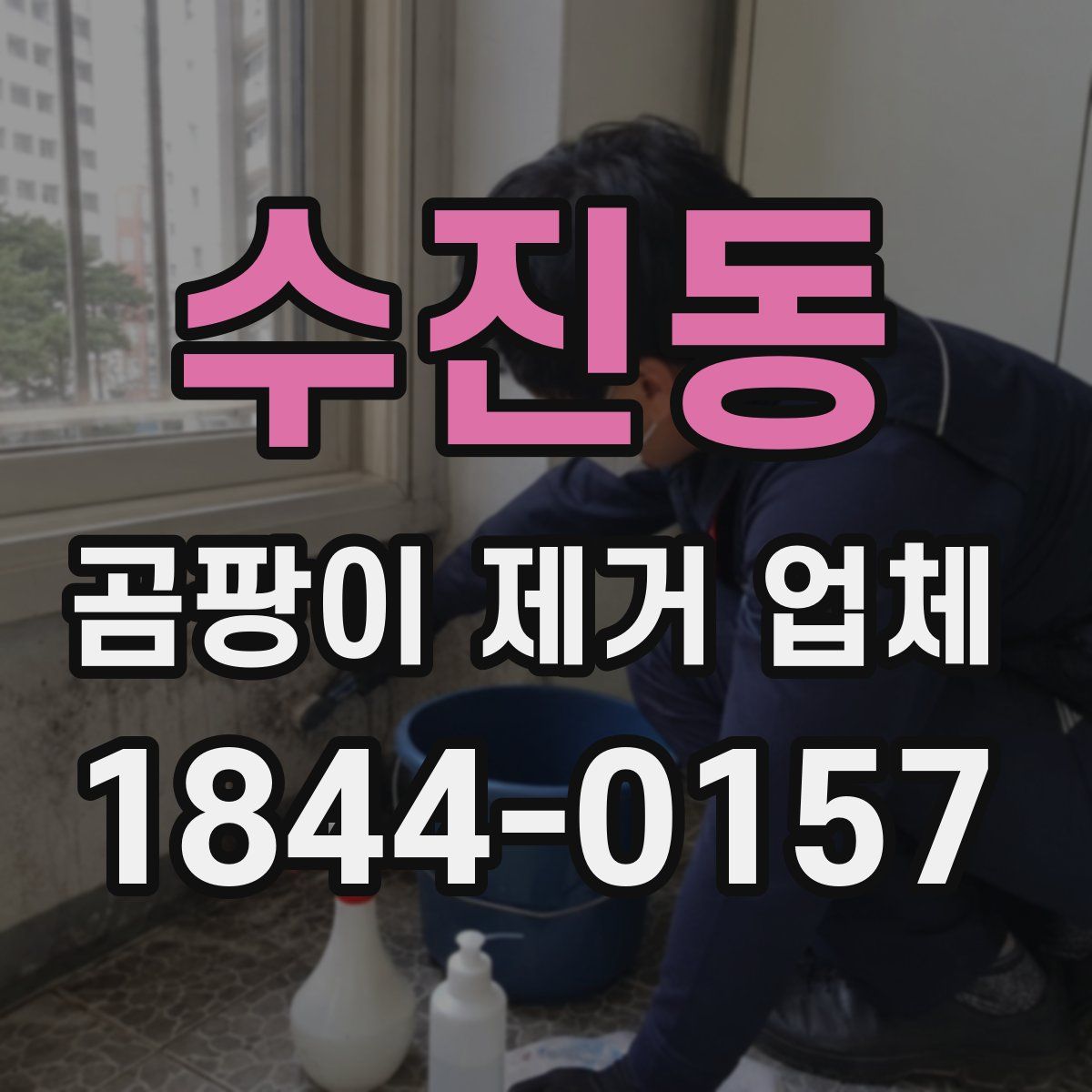 수진동 곰팡이 제거 업체