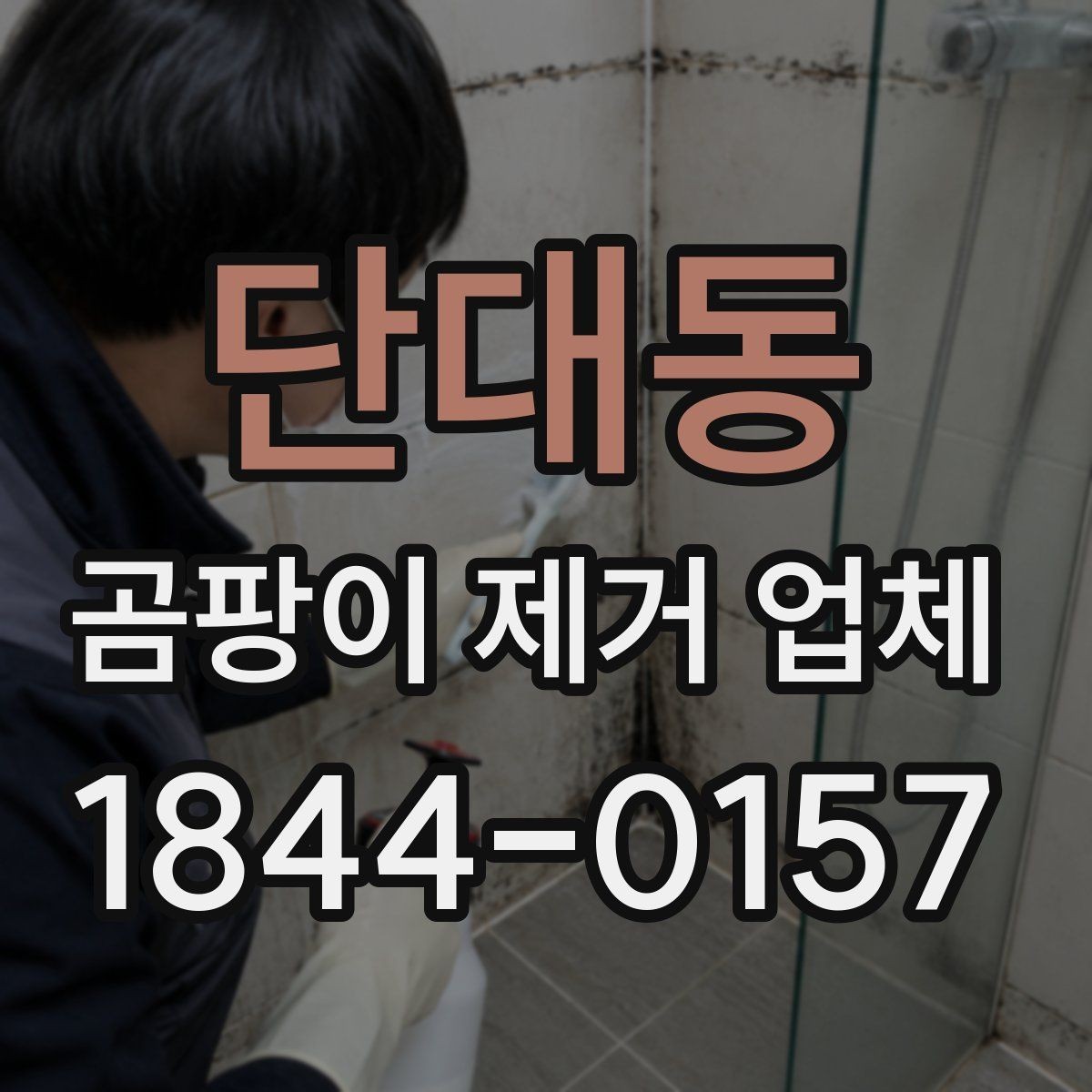 단대동 곰팡이 제거 업체 비용은 어떻게 달라질까
