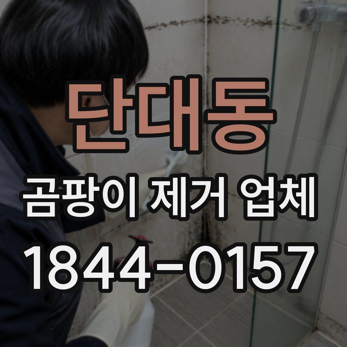 단대동 곰팡이 제거 업체