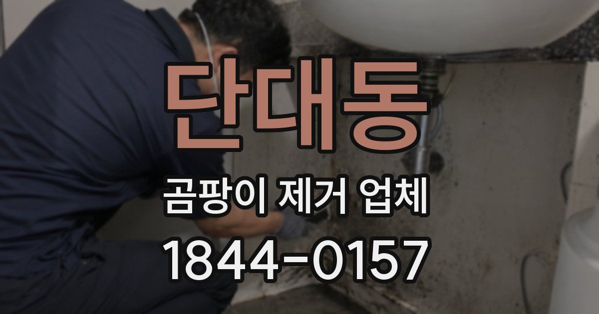 단대동 곰팡이 제거 업체