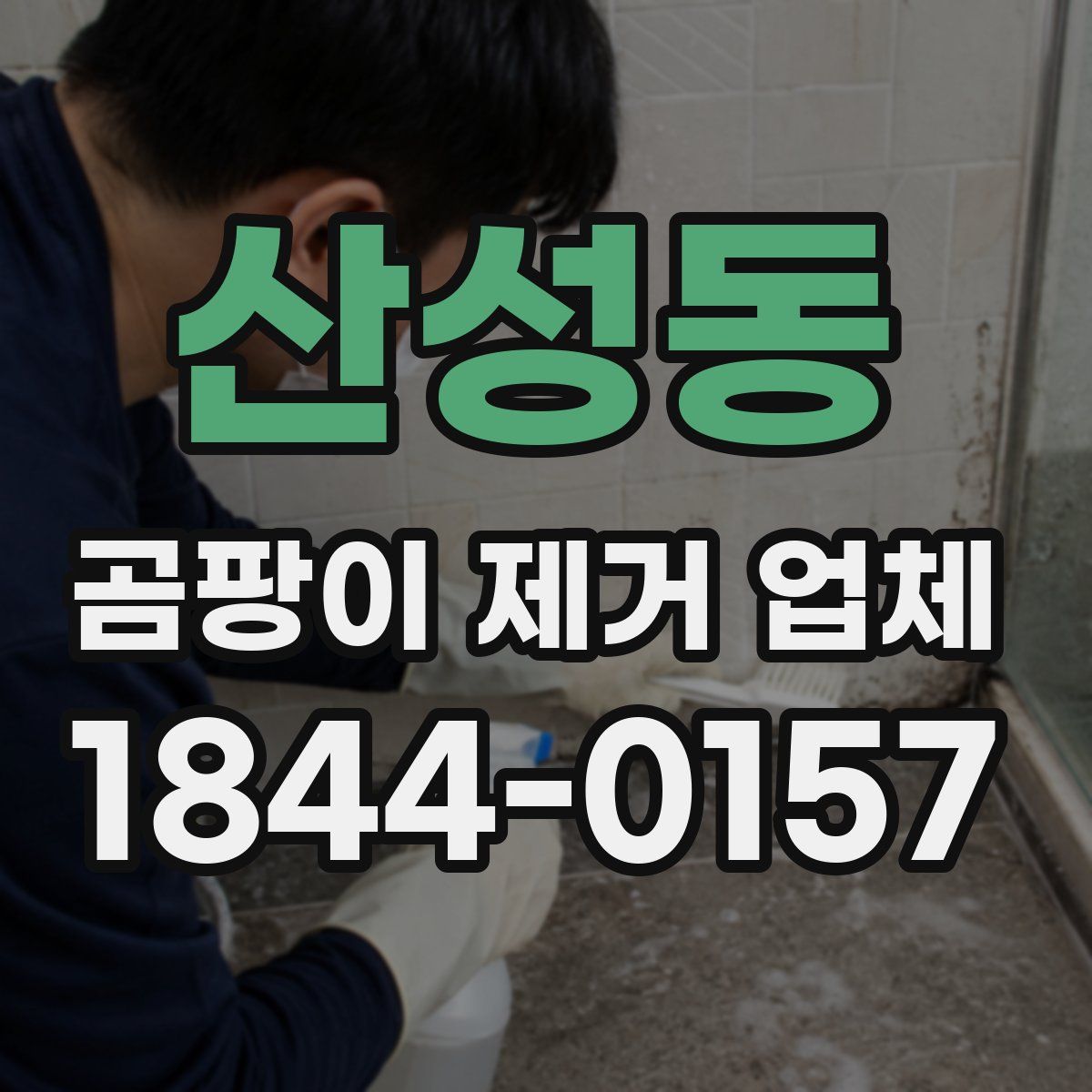 산성동 곰팡이 제거 업체