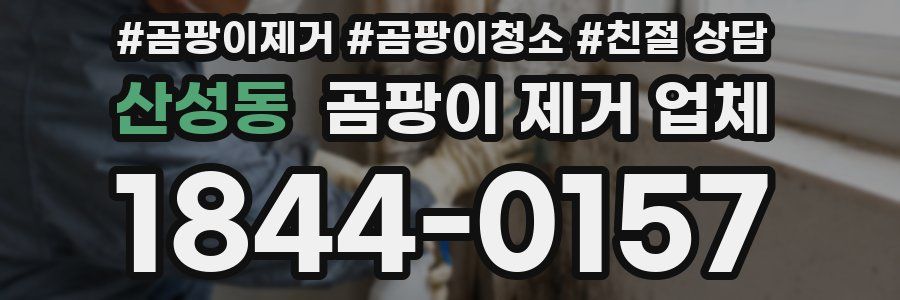 산성동 곰팡이 제거 업체