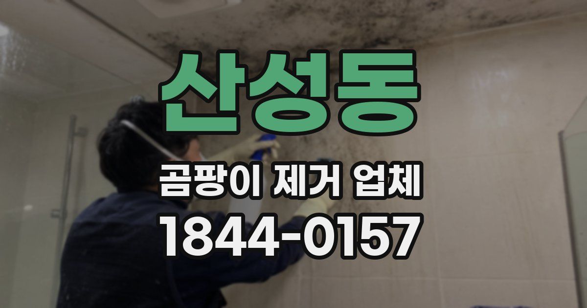 산성동 곰팡이 제거 업체