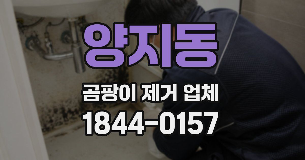 양지동 곰팡이 제거 업체