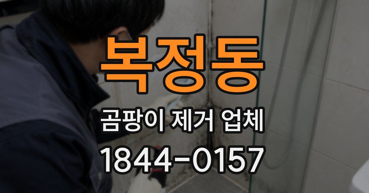 복정동 곰팡이 제거 업체