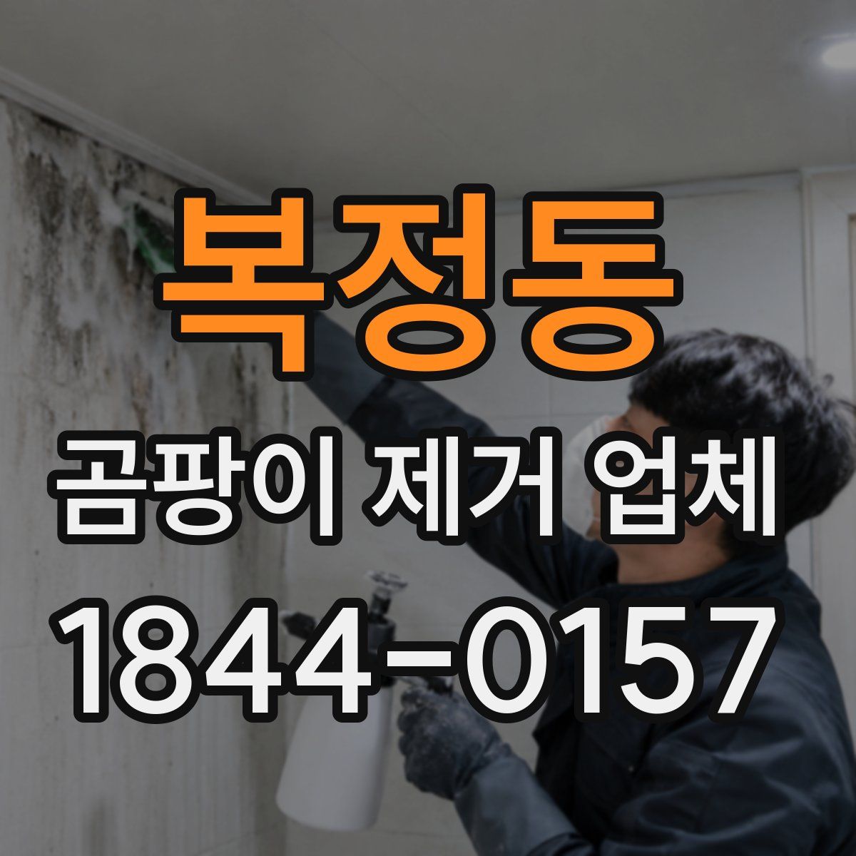 복정동 곰팡이 제거 업체