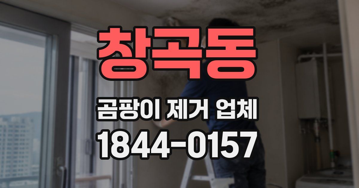 창곡동 곰팡이 제거 업체