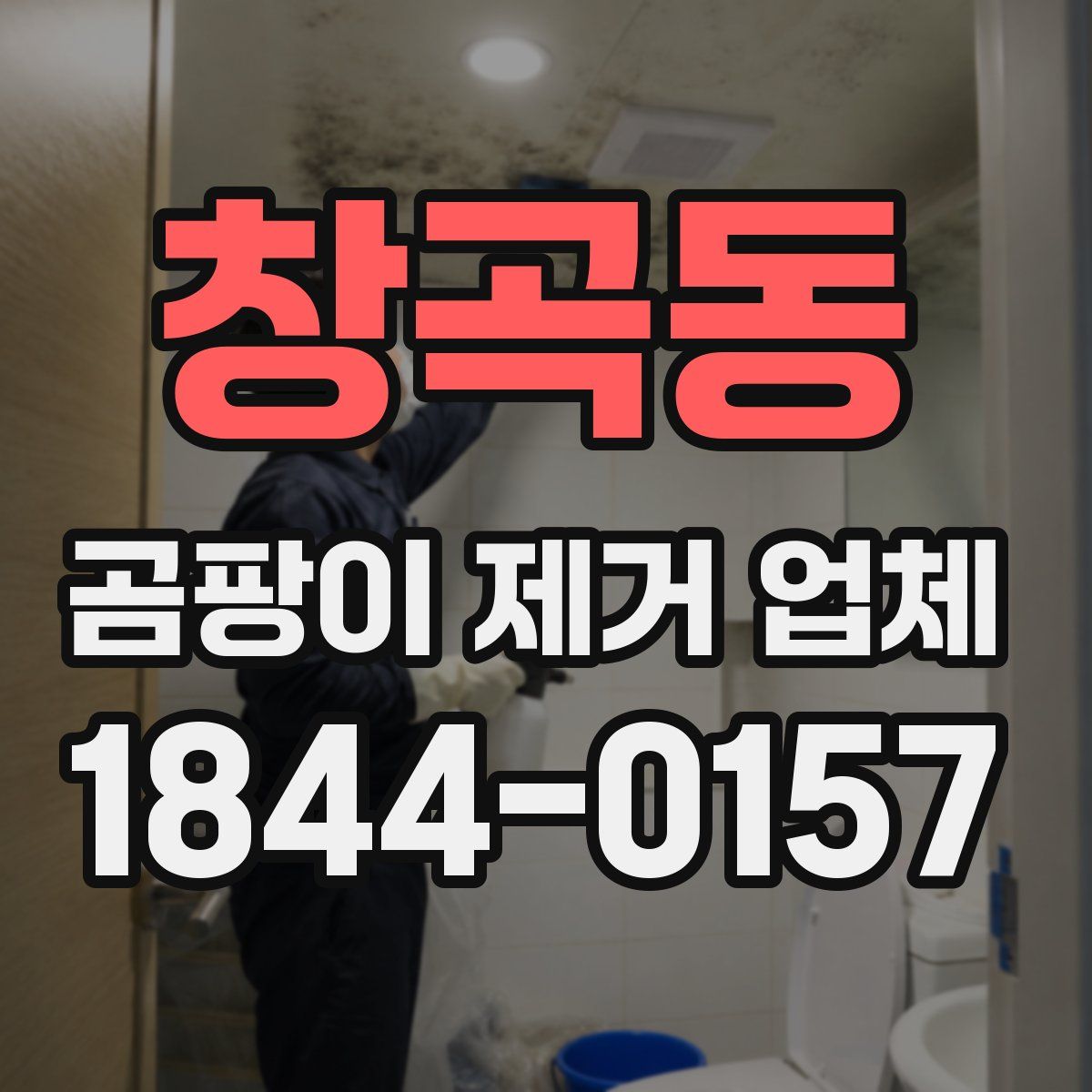창곡동 곰팡이 제거 업체