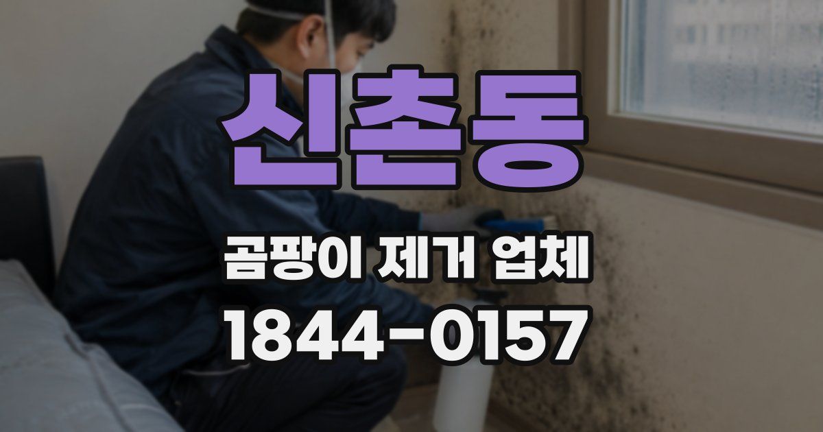 신촌동 곰팡이 제거 업체