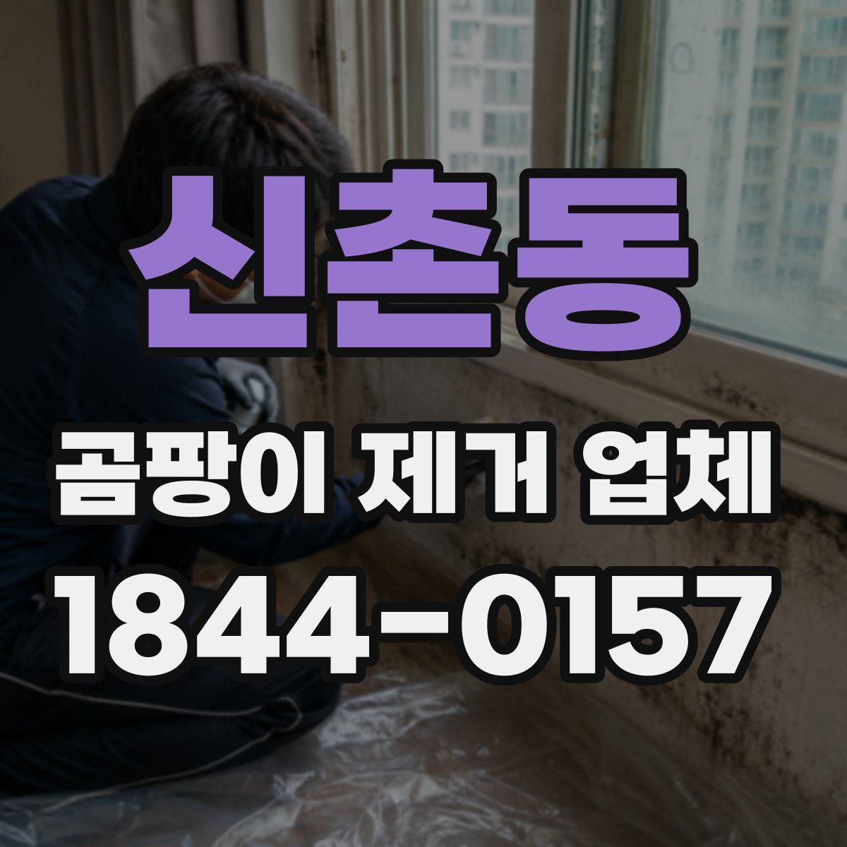 신촌동 곰팡이 제거 업체
