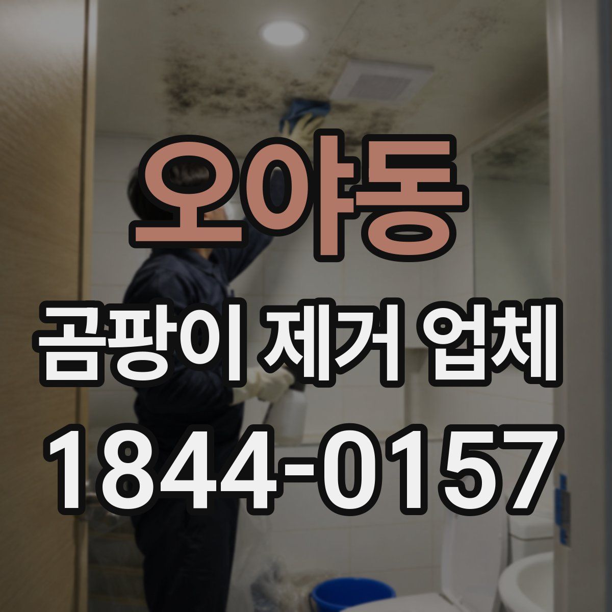 오야동 곰팡이 제거 업체