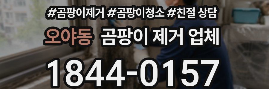 오야동 곰팡이 제거 업체