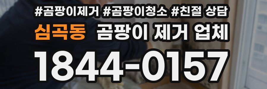 심곡동 곰팡이 제거 업체
