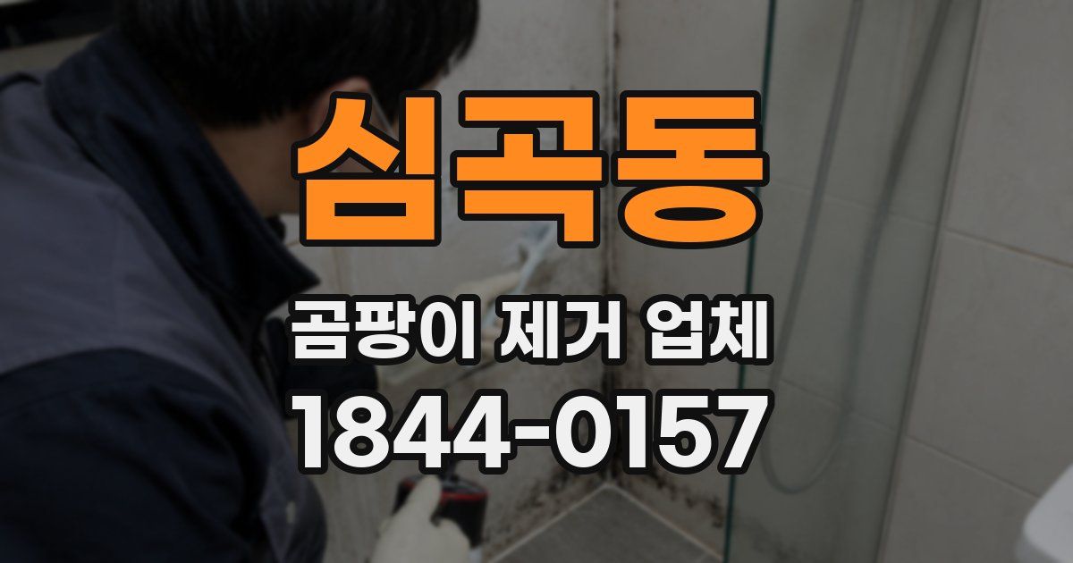 심곡동 곰팡이 제거 업체