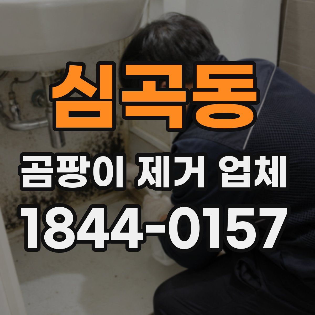 심곡동 곰팡이 제거 업체