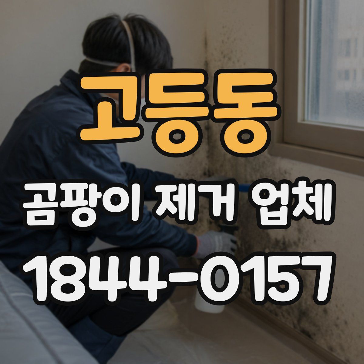 고등동 곰팡이 제거 업체