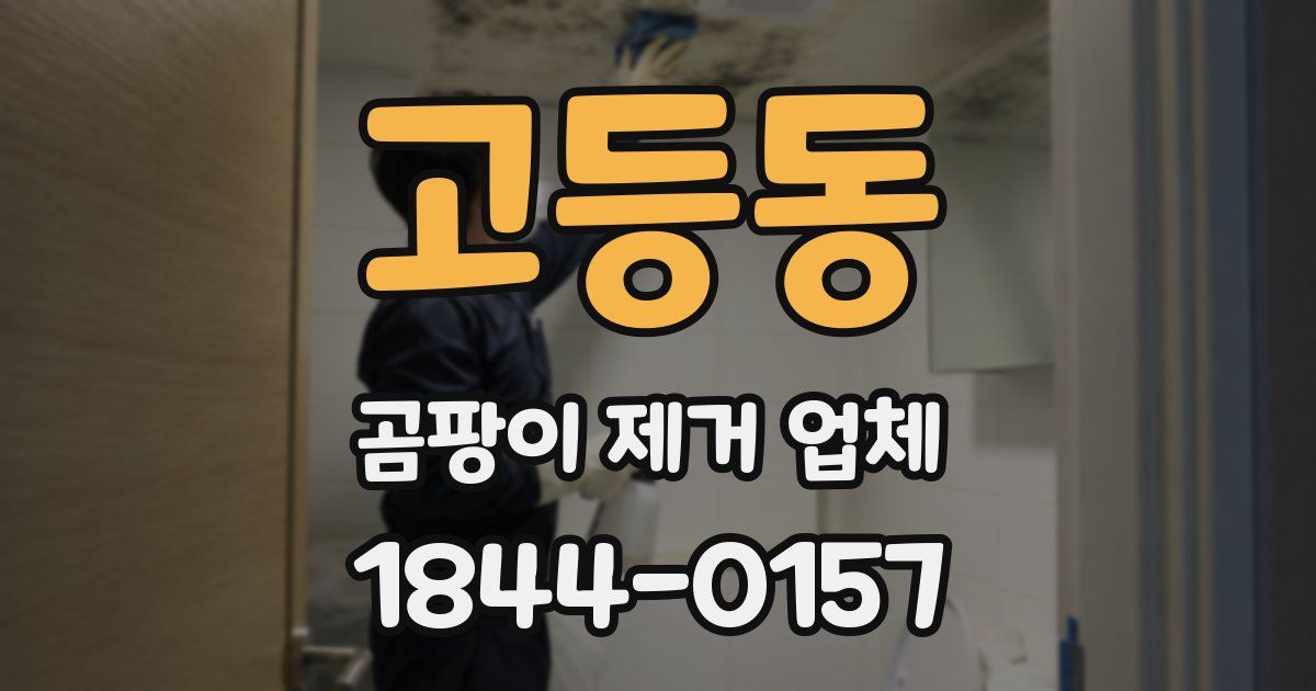 고등동 곰팡이 제거 업체