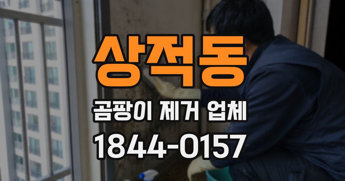 상적동 곰팡이 제거 업체
